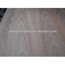 teak C/C veneer fancy plywood door